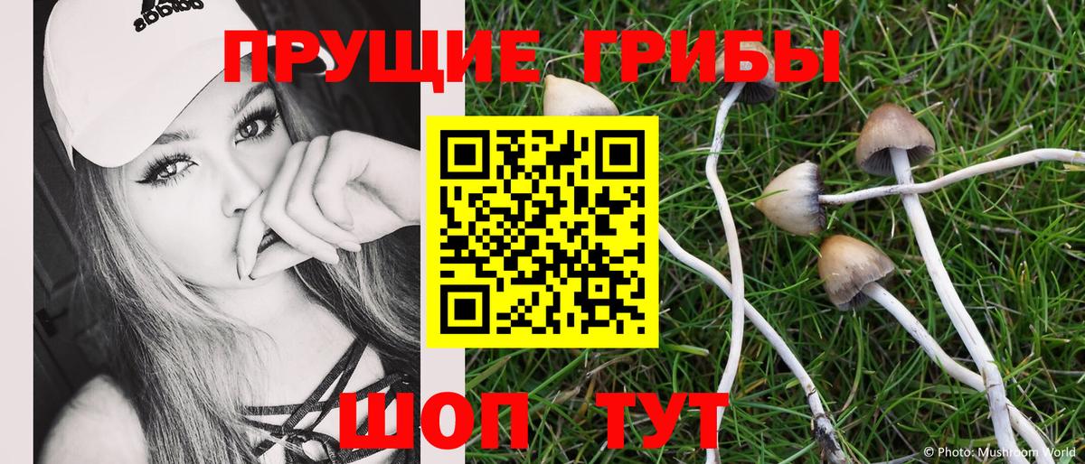 Псилоцибиновые грибы ЛСД  купить наркотики сайты  Великий Новгород  Вход с VPN 